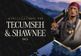 Sid Meier's Civilization VII - Tecumseh and Shawnee Pack DLC PC Steam CD Key