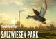 theHunter: Call of the Wild - Salzwiesen Park DLC EU PC Steam CD Key