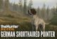 theHunter: Call of the Wild - German Shorthaired Pointer DLC PC Steam CD Key