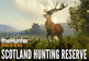 theHunter: Call of the Wild - Scotland Hunting Reserve DLC PC Steam CD Key