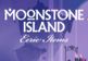 Moonstone Island - Eerie Items Pack DLC Steam CD Key