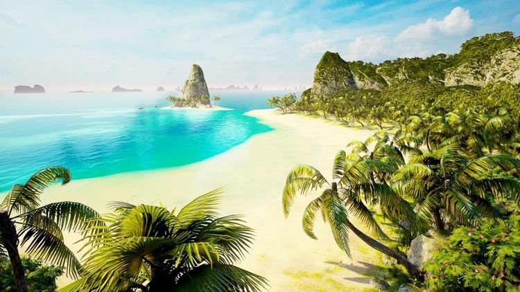 Perfect EU PC Steam CD Key