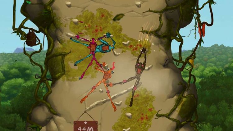 Frog Climbers EU Steam CD Key