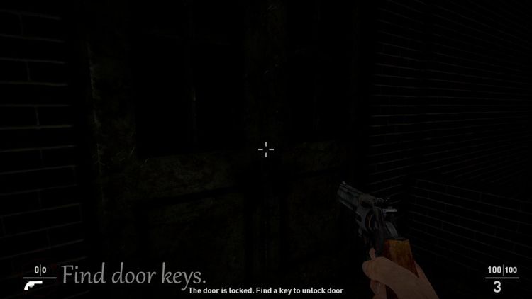 Lone Leader Steam CD Key