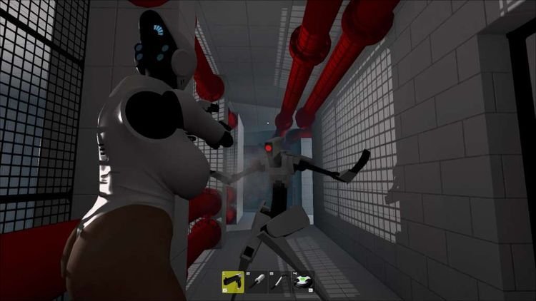 Haydee Steam CD Key