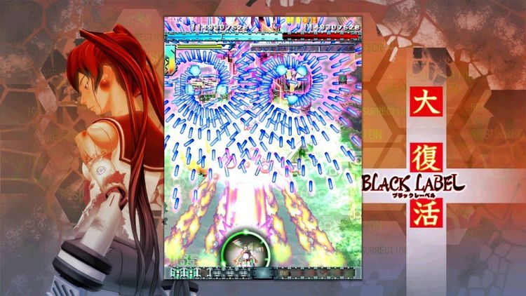 DoDonPachi Resurrection Steam CD Key