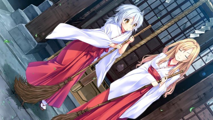 Wild Romance EU Steam CD Key