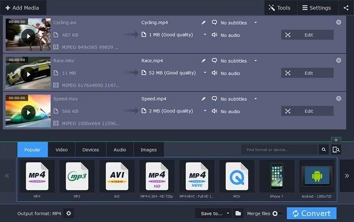 Movavi Video Editor Plus 14 Key (1 PC)