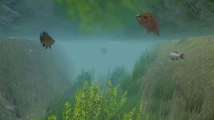 European Fishing Steam CD Key