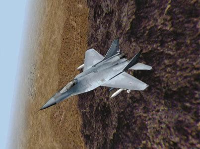 MiG-29 Fulcrum Steam CD Key