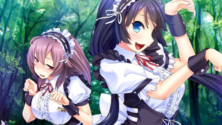 Wild Romance EU Steam CD Key
