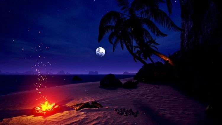 Perfect EU PC Steam CD Key