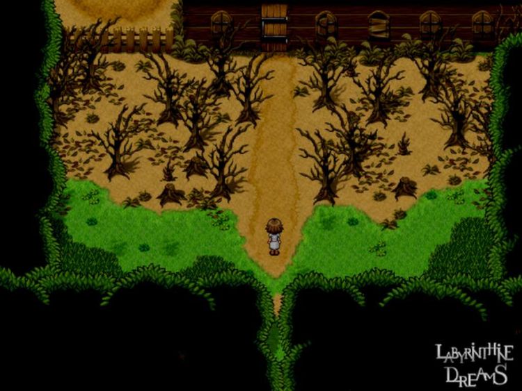 Labyrinthine Dreams PC Steam CD Key