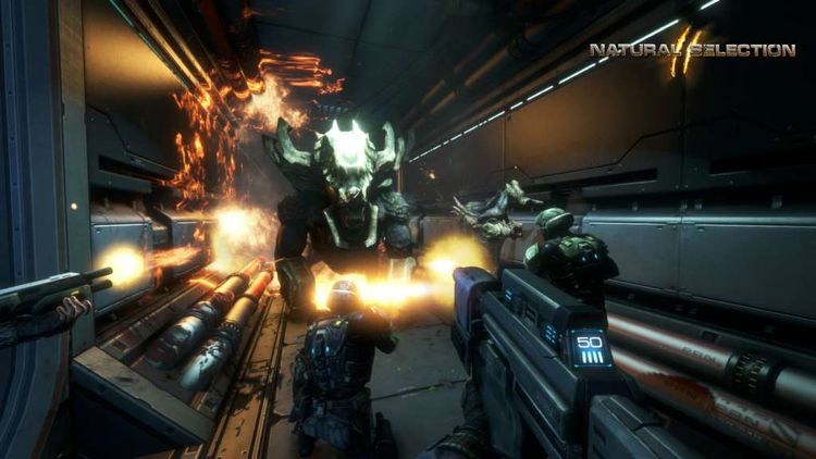 Natural Selection 2 Steam Gift