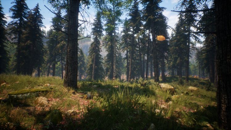 Light The Way Steam CD Key