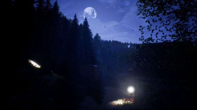 Light The Way Steam CD Key