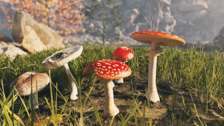 AppGameKit Studio Steam CD Key