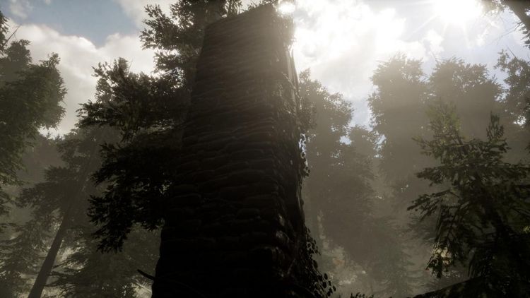 The Woods: VR Escape the Room Steam CD Key