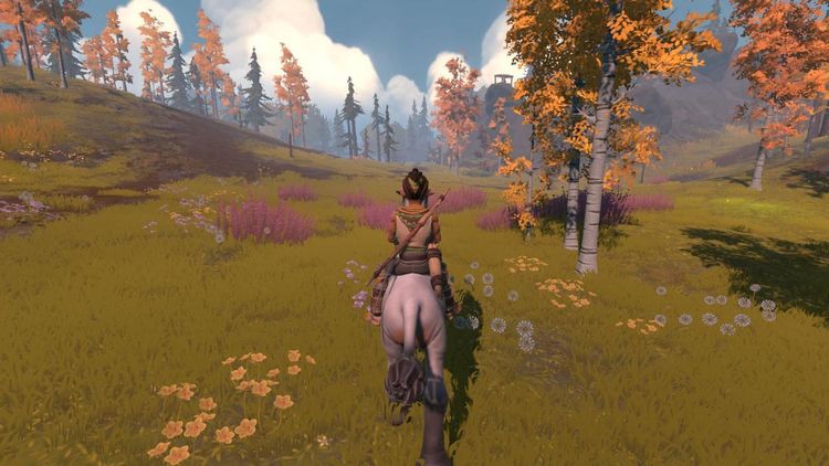 Pine Steam CD Key