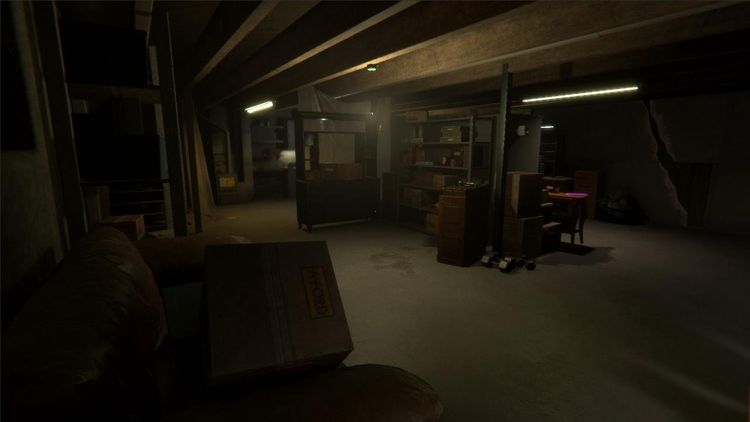 Our Secret Below Steam CD Key