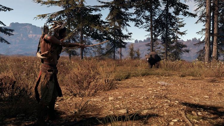 This Land Is My Land Steam Account