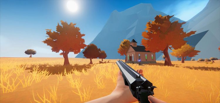 Wild West and Wizards Steam CD Key