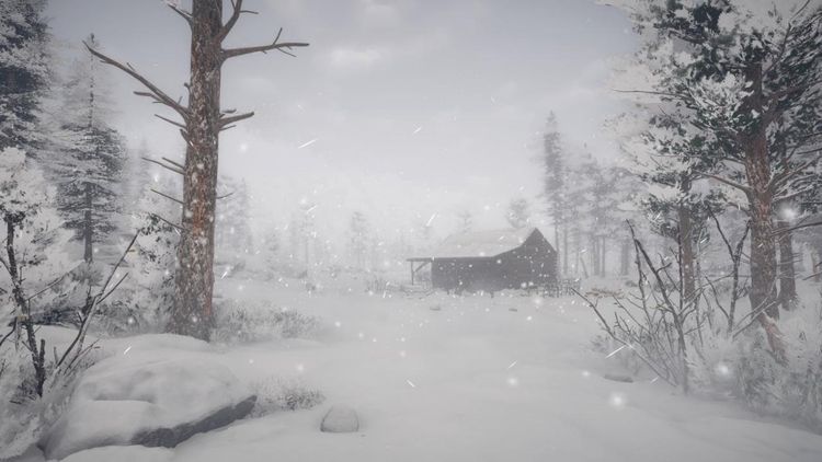 Northern Lights EU PC Steam Altergift