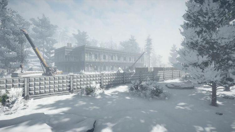 Northern Lights EU PC Steam Altergift