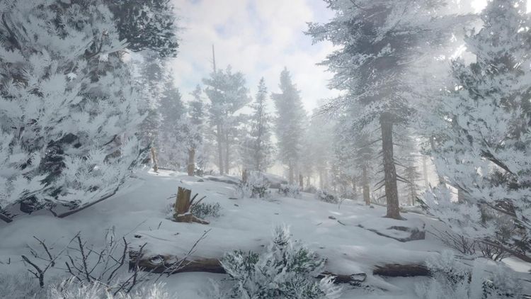 Northern Lights EU PC Steam Altergift