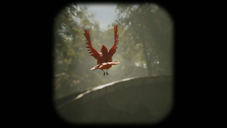 Morels: The Hunt Steam CD Key