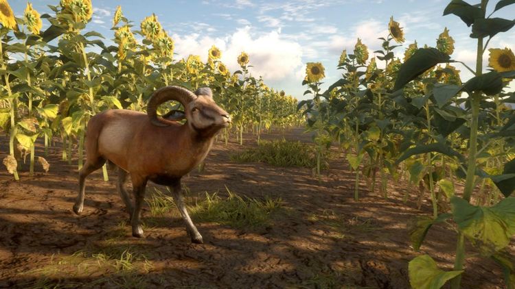 theHunter: Call of the Wild - Cuatro Colinas Game Reserve EU Steam Altergift