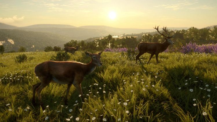 theHunter: Call of the Wild - Cuatro Colinas Game Reserve EU Steam Altergift