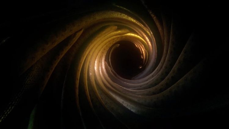 Ayahuasca Steam CD Key