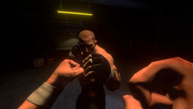 Fighting Clans Steam CD Key