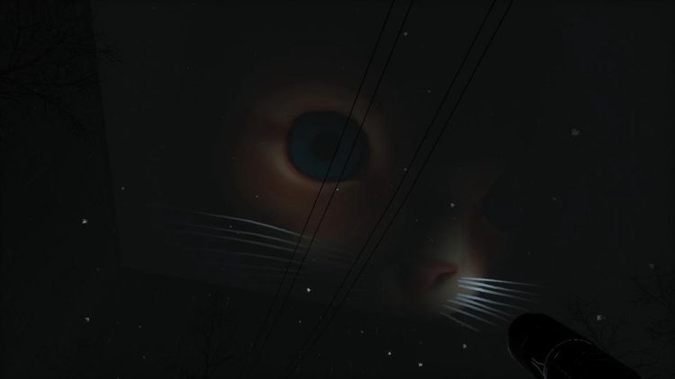 Wild Russia Steam CD Key