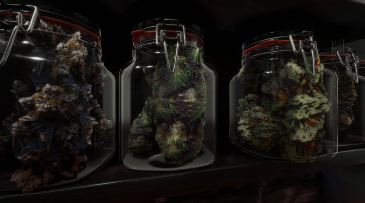 Cannabis Farmer Strain Master Steam CD Key
