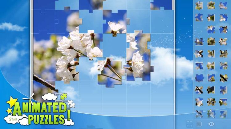 Animated Puzzles PC Steam CD Key