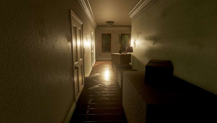 Joana's Life PC Steam CD Key