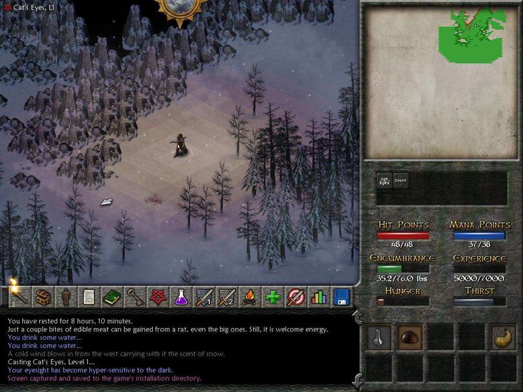 Eschalon Book II Steam CD Key