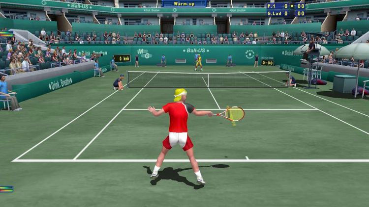 Tennis Elbow 2013 PC Steam Gift