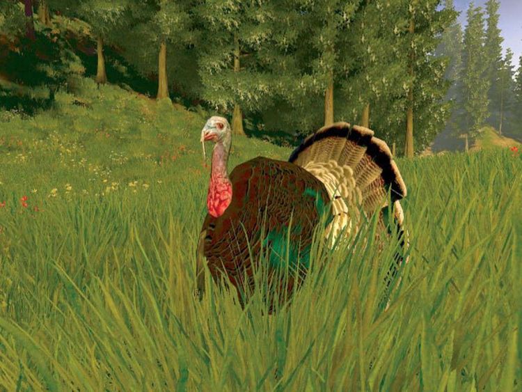 Cabela's Big Game Hunter Trophy Bucks Steam Gift