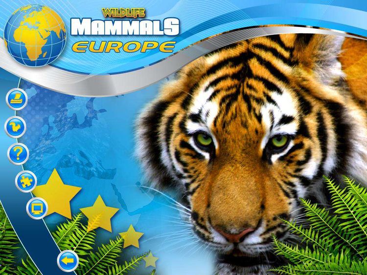 Wildlife Creative Studio PC Steam CD Key