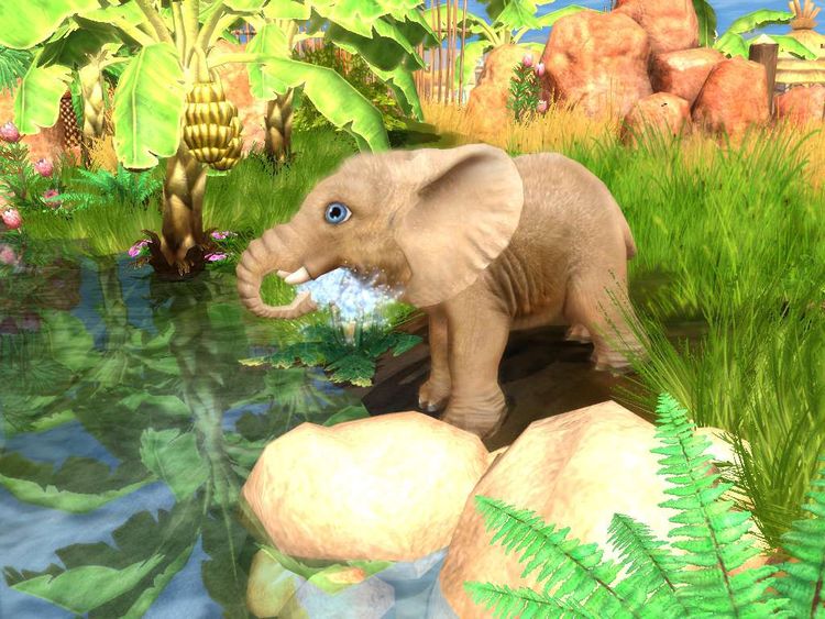 Wildlife Camp Steam CD Key