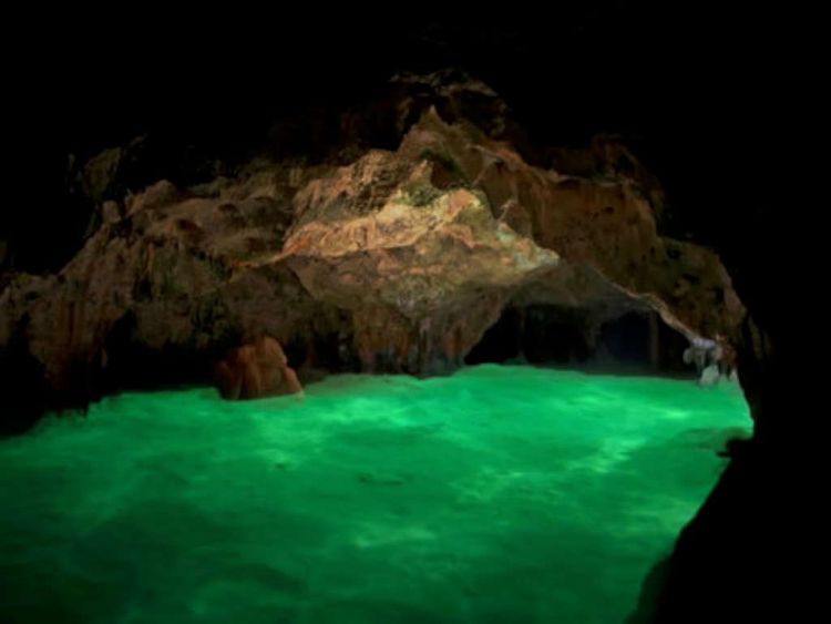 Spellbind : Luppe's tale Steam CD Key