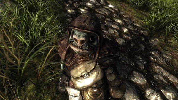 Risen PC Steam CD Key