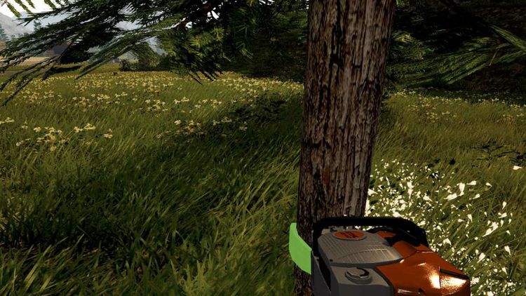 Forestry 2017: The Simulation Deluxe Edition Steam CD Key