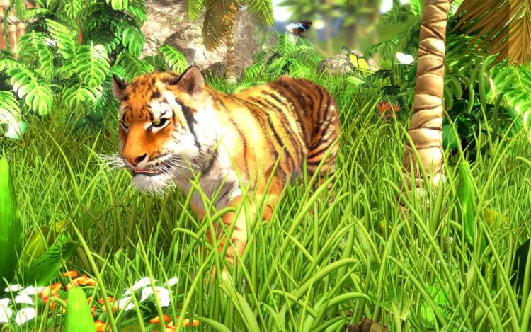 Wildlife Park 3 Steam Gift