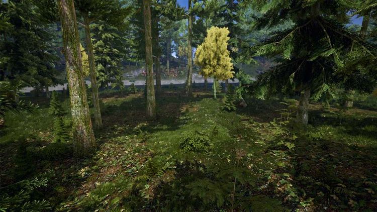 Demesne Steam CD Key