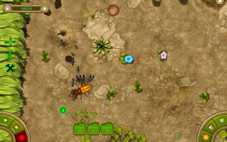 Ant Queen Steam CD Key