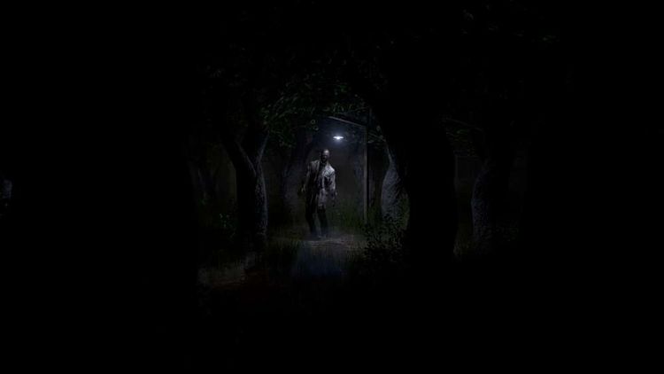 Roots of Insanity Steam CD Key